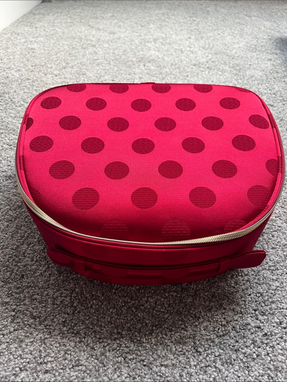 Estee Lauder Red Polka Dot Cosmetic Train Case